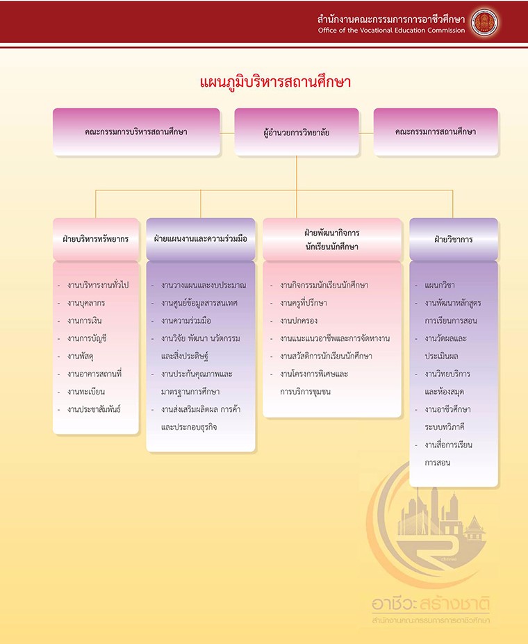 ผังการบริหาร